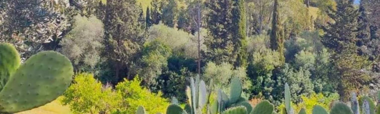 In Our Garden Azienda Agricola Biologica 