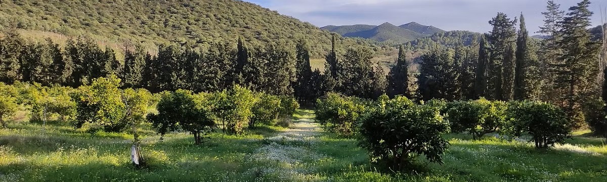 In Our Garden Azienda Agricola Biologica 