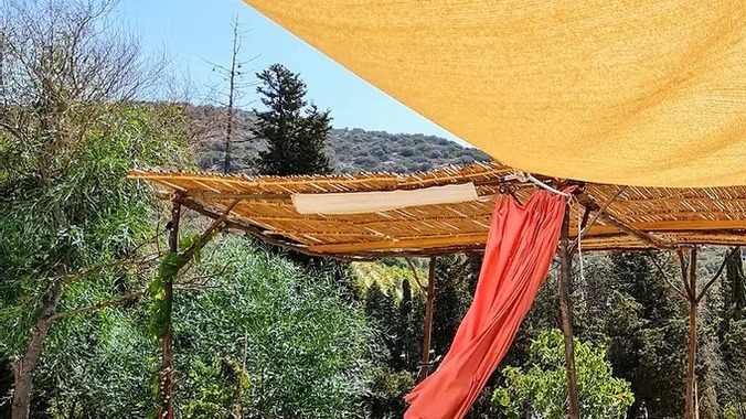 Ospitalità